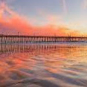 Meet your Posher, Tamiria